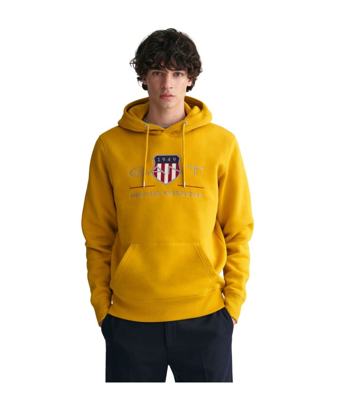 vintage-shield-hoodie
