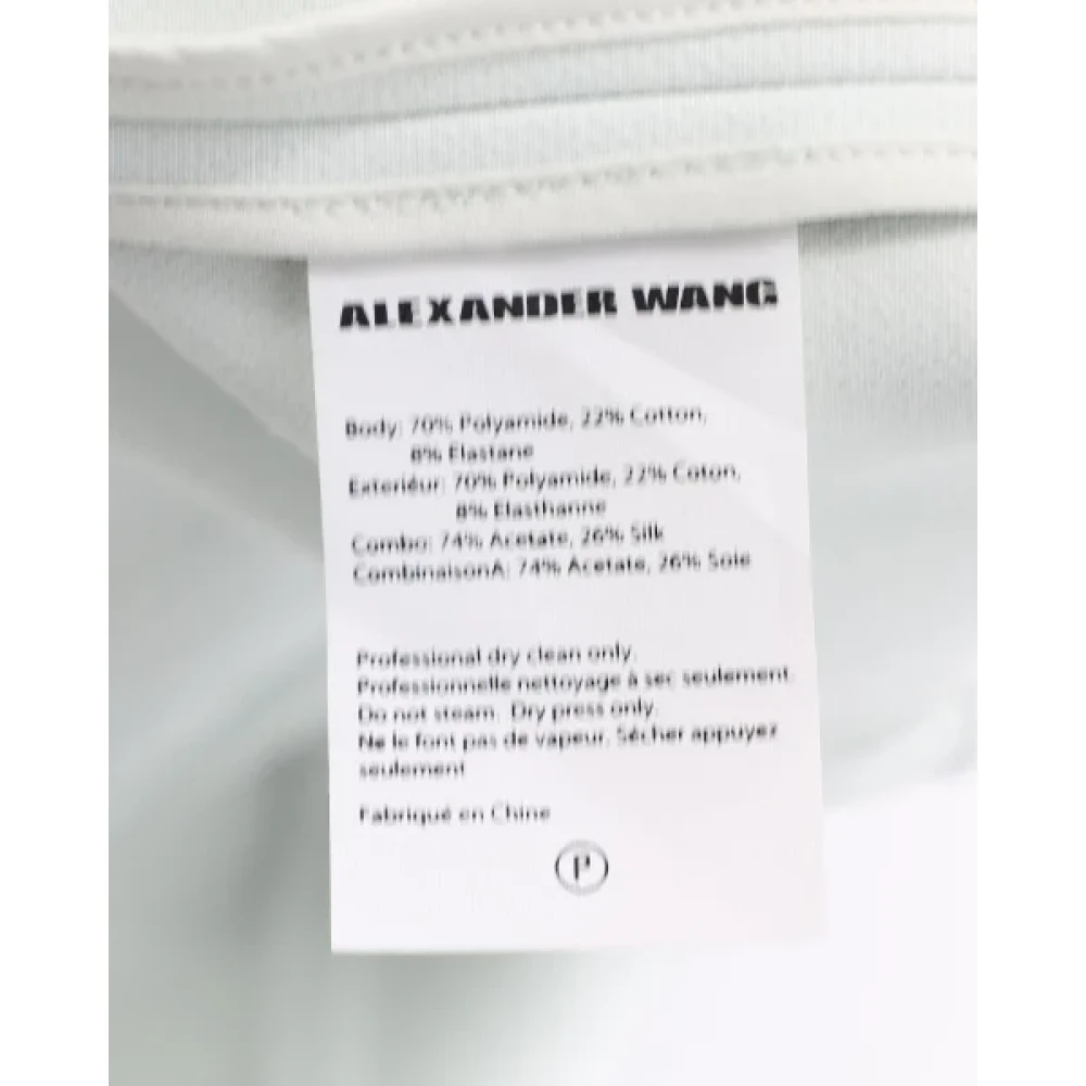 Alexander Wang Pre-owned Nylon dresses Gray Dames