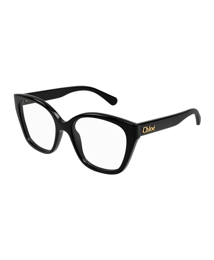 ch0241o-001-optical-frame