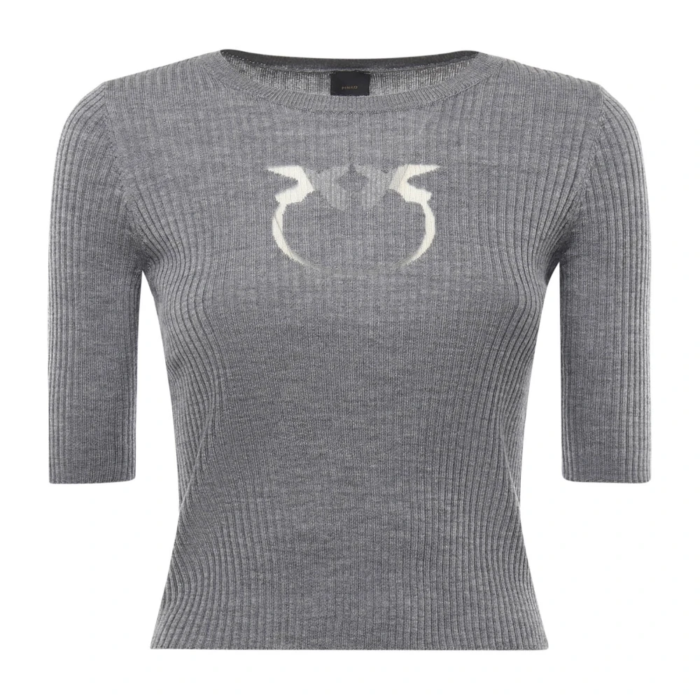 Pinko Women's Gray Round-Neck Knitwear