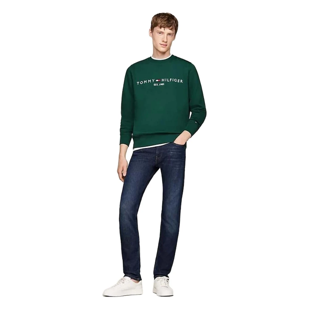 Tommy Hilfiger Hoodie Green Heren