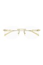 gg1806o-002-optical-frame