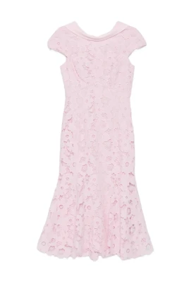 Collar Lace Dress