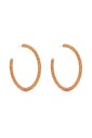 boucles-d-oreilles