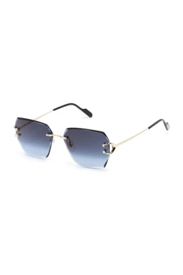 CT0466S 002 Sunglasses