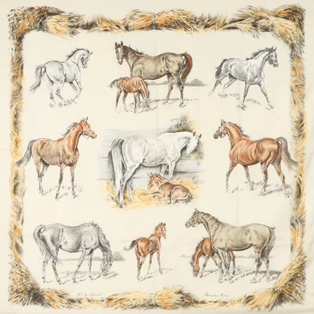 Hermès Vintage Pre-owned Cashmere scarves Multicolor Dames