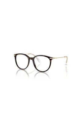 SK2009 Optical Frame