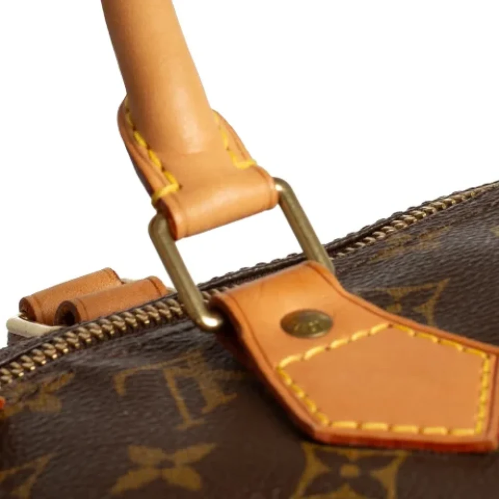 Louis Vuitton Vintage Pre-owned Leather handbags Brown Dames