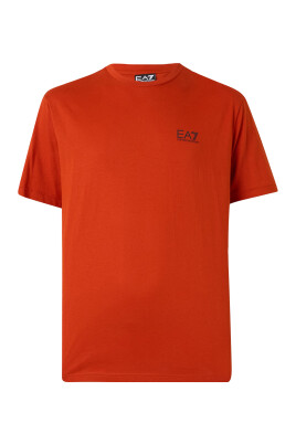 short-sleeve-t-shirt