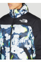 veste-isolee-imprimee-graphique