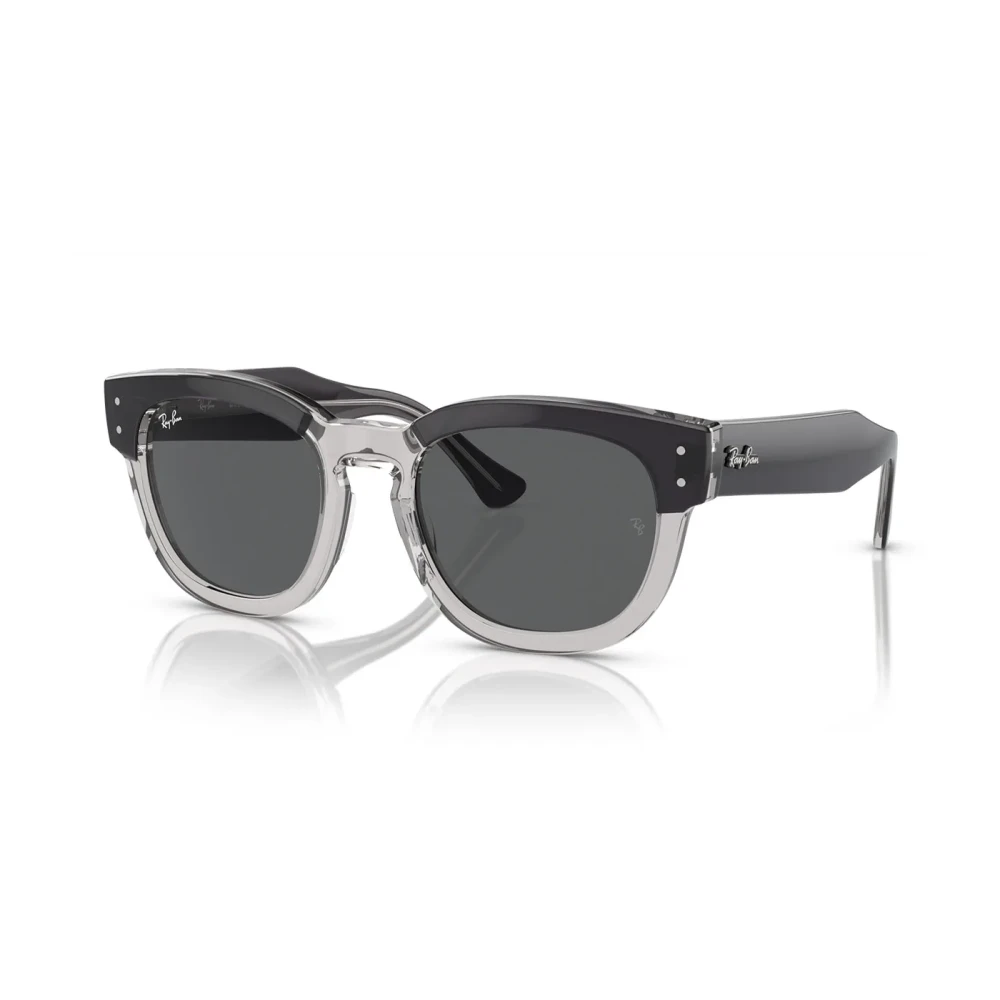 Accessories > Sunglasses - - Ray-Ban - Modalova