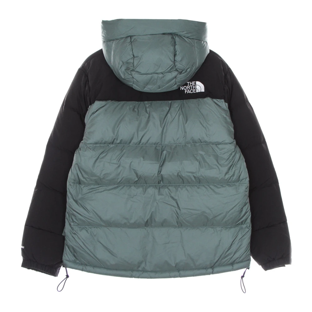 The North Face Balsam Green Dons Parka Jas Green Heren