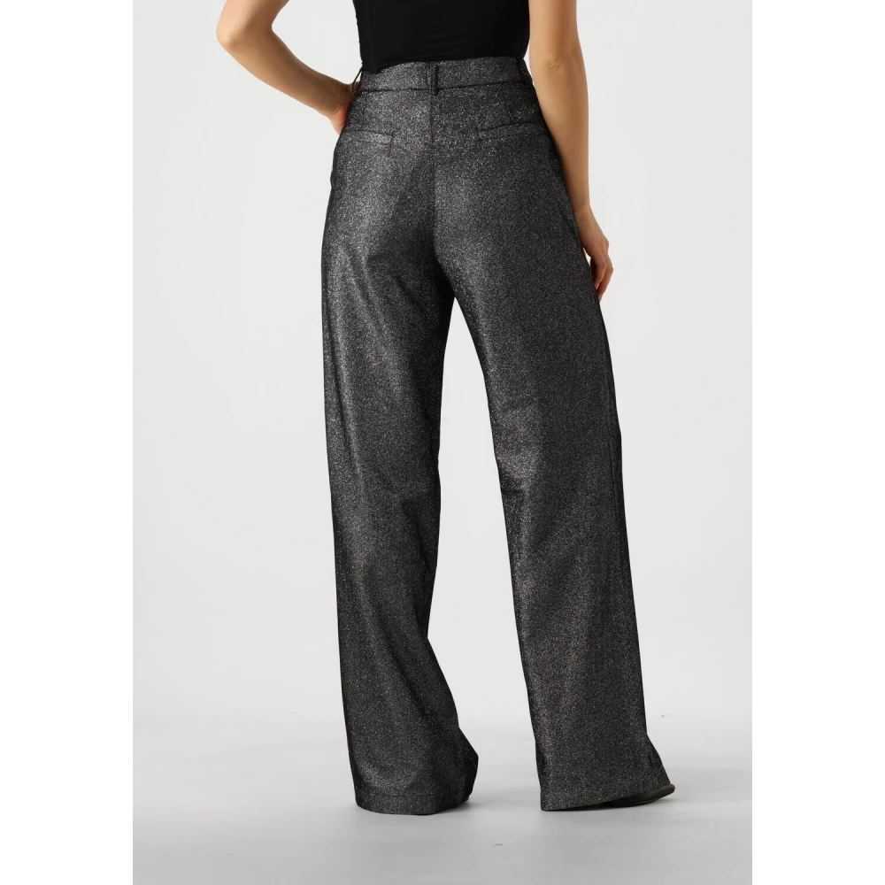 Ibana Zilver Glitter Broek Puyo Gray Dames