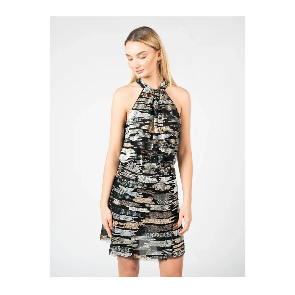 pinko Pailletten Geborduurde Tule Mini Jurk Black Dames
