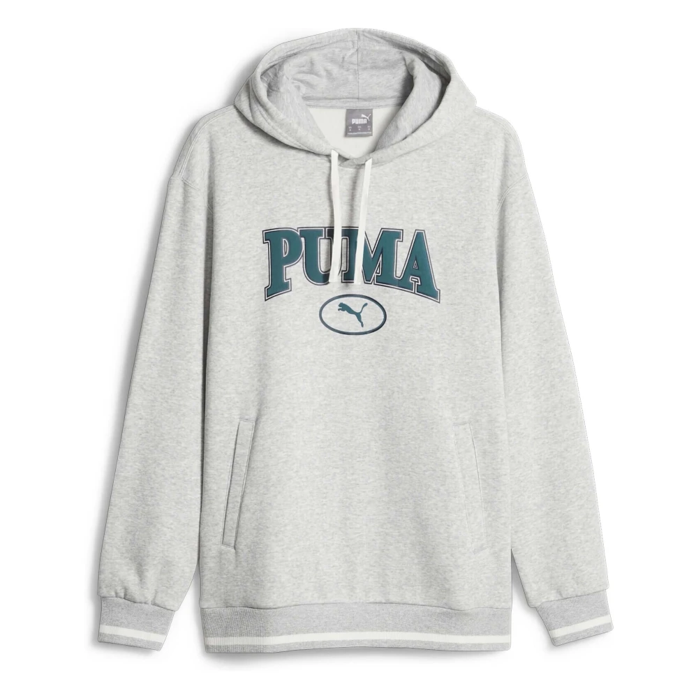 Puma Team Hoodie Gray Heren