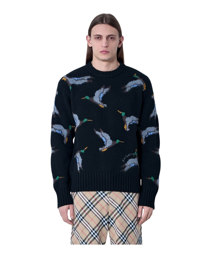 pull-en-laine-avec-canard