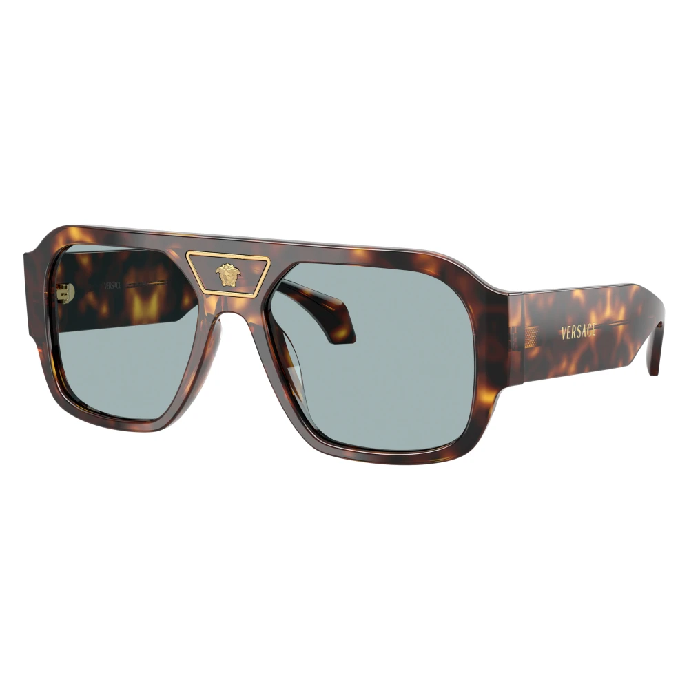 Versace Brown Sunglasses, Unisex, 56 Mm, Ve4508u Sunglasses