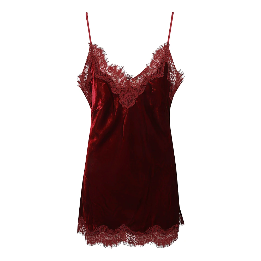 Gold Hawk Rode Velvet Kant Topwear Red Dames