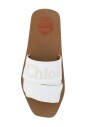 snow-white-woody-slides