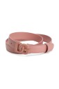ceinture-logo