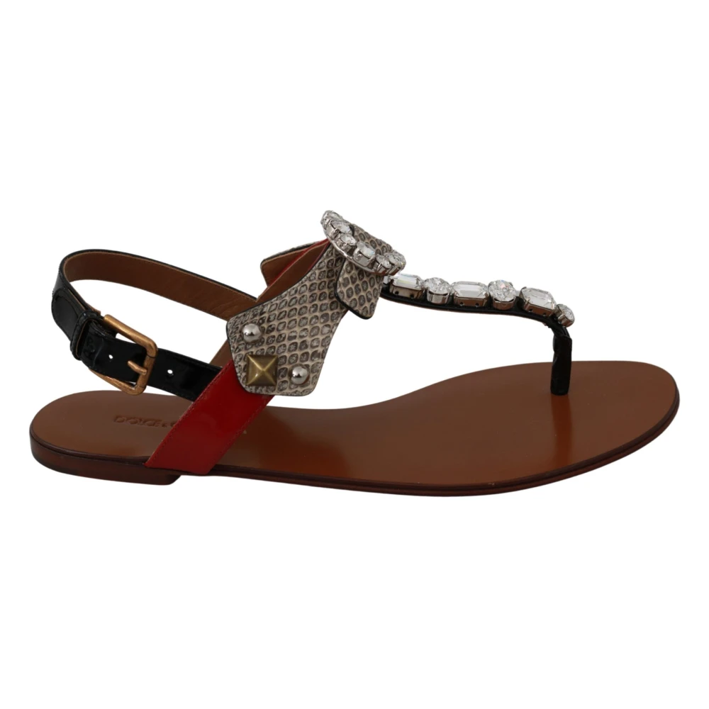 Dolce & Gabbana Women's Brown Flat Sandals, 2 Uk, Heel Strap Flip-Flop Sandals