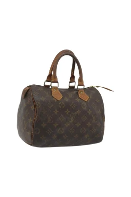 Pre-owned Speedy 25 Handväska