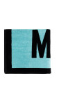 bath-towel-with-logo