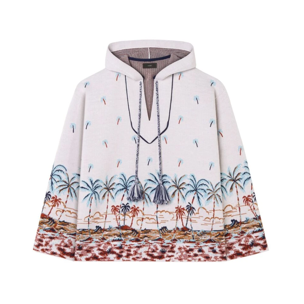 Sweatshirts & Hoodies > Hoodies - - Alanui - Modalova
