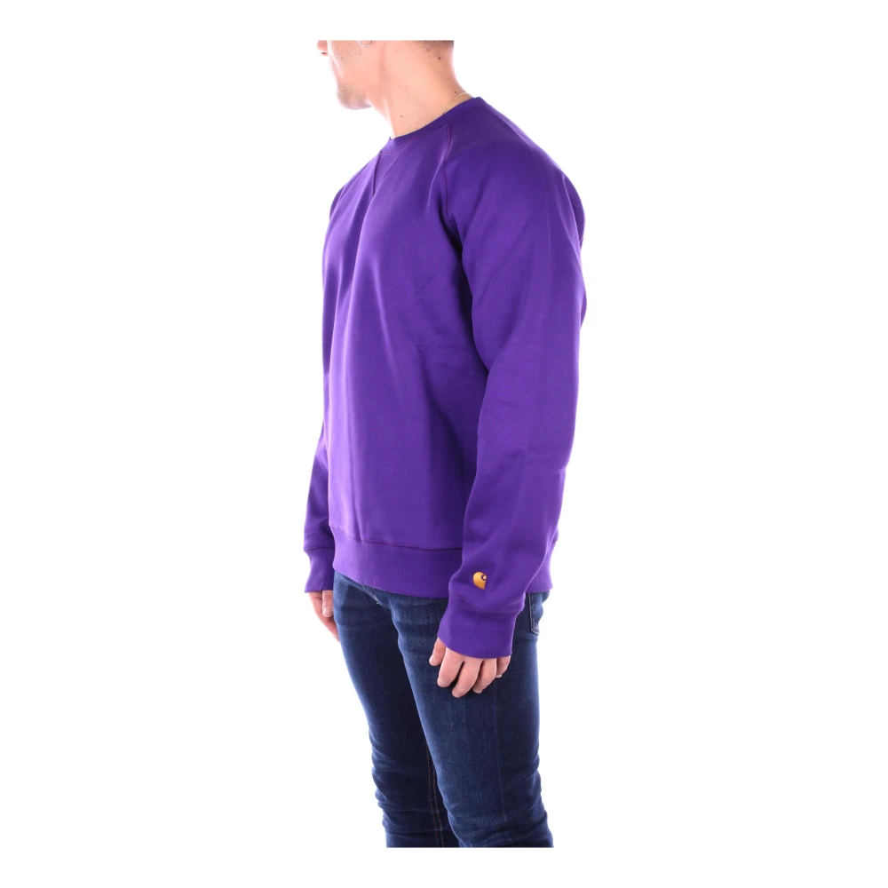 Carhartt WIP Sweatshirts Purple Heren