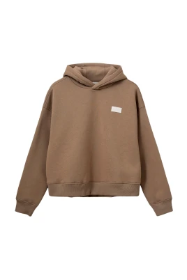 BasikSW Hoodie