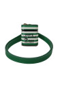 etui-airpods-en-cuir-vert-avec-bracelet-et-logo-en-metal-dore