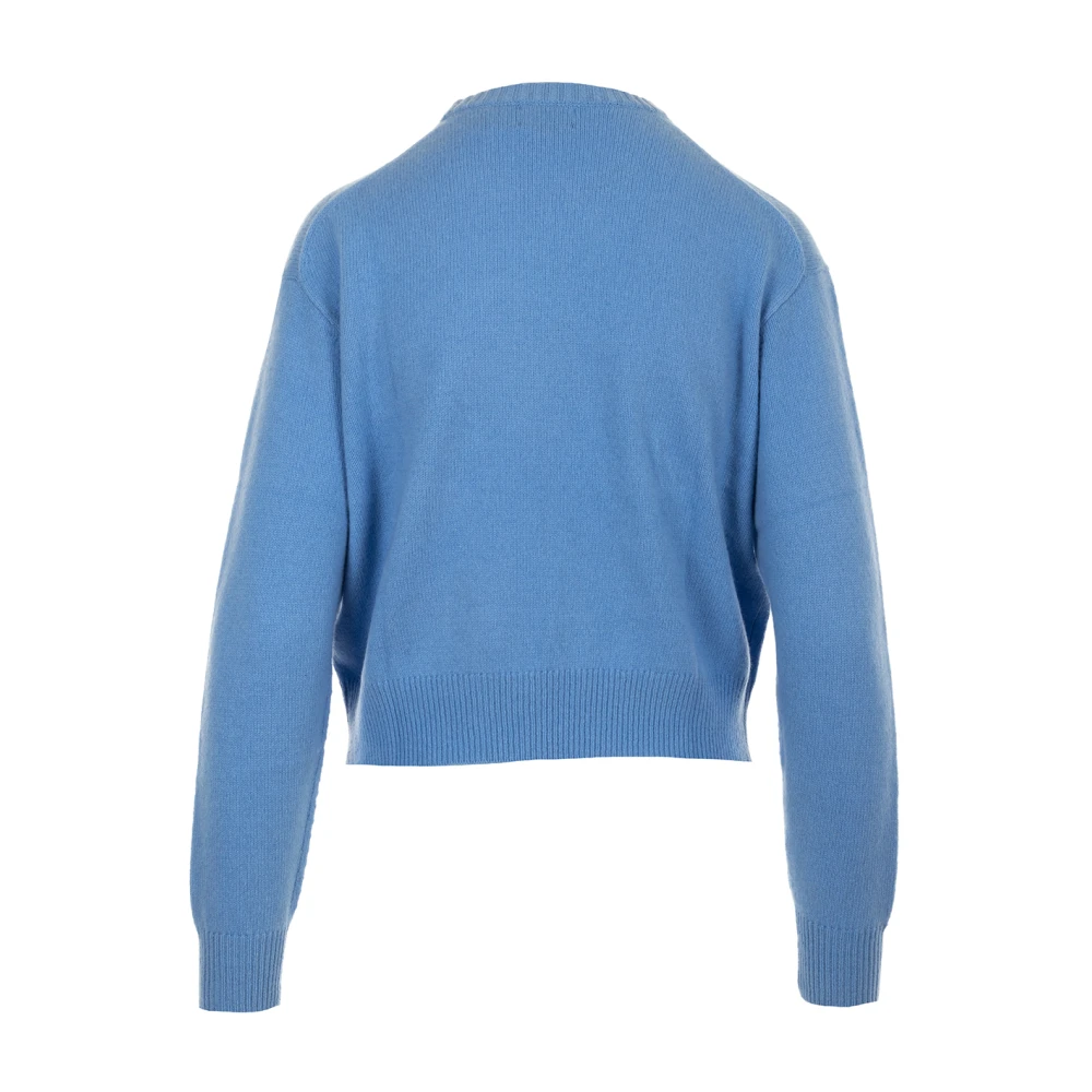 Ralph Lauren Truien Lichtblauw Blue Dames