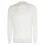 ivory-sand-raglan-sweater