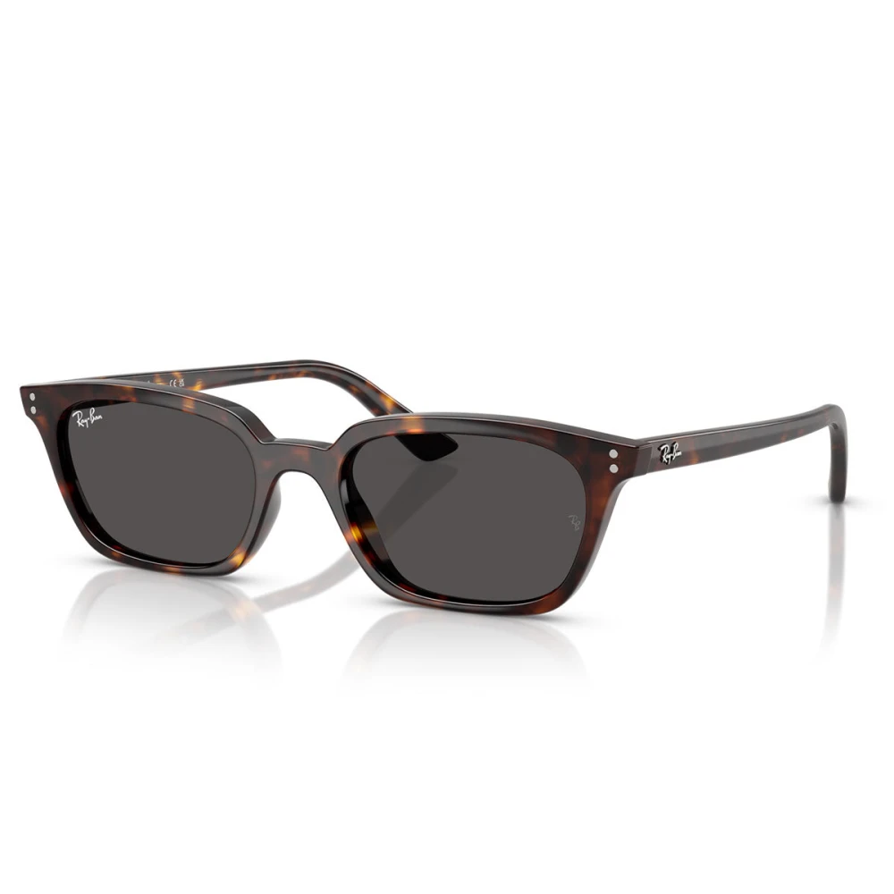 Ray-Ban Unisex Brown Zaya Sunglasses - Sunglasses - 53 Mm - Accessories