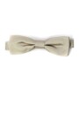papillon-homme-collection-elegante