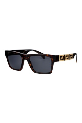 chic-temple-sunglasses-with-standard-lenses