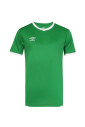 teamwear-maillot-cup