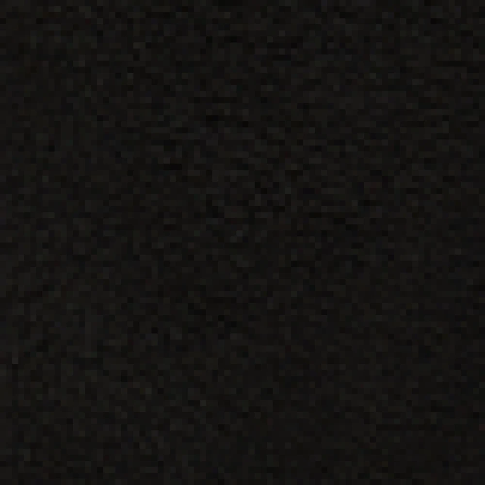 carlo colucci Teddy Fleece Jack met Merklogo's Black Heren