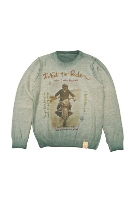 pull-en-laine-reversible-col-rond-vert-imprime-paon