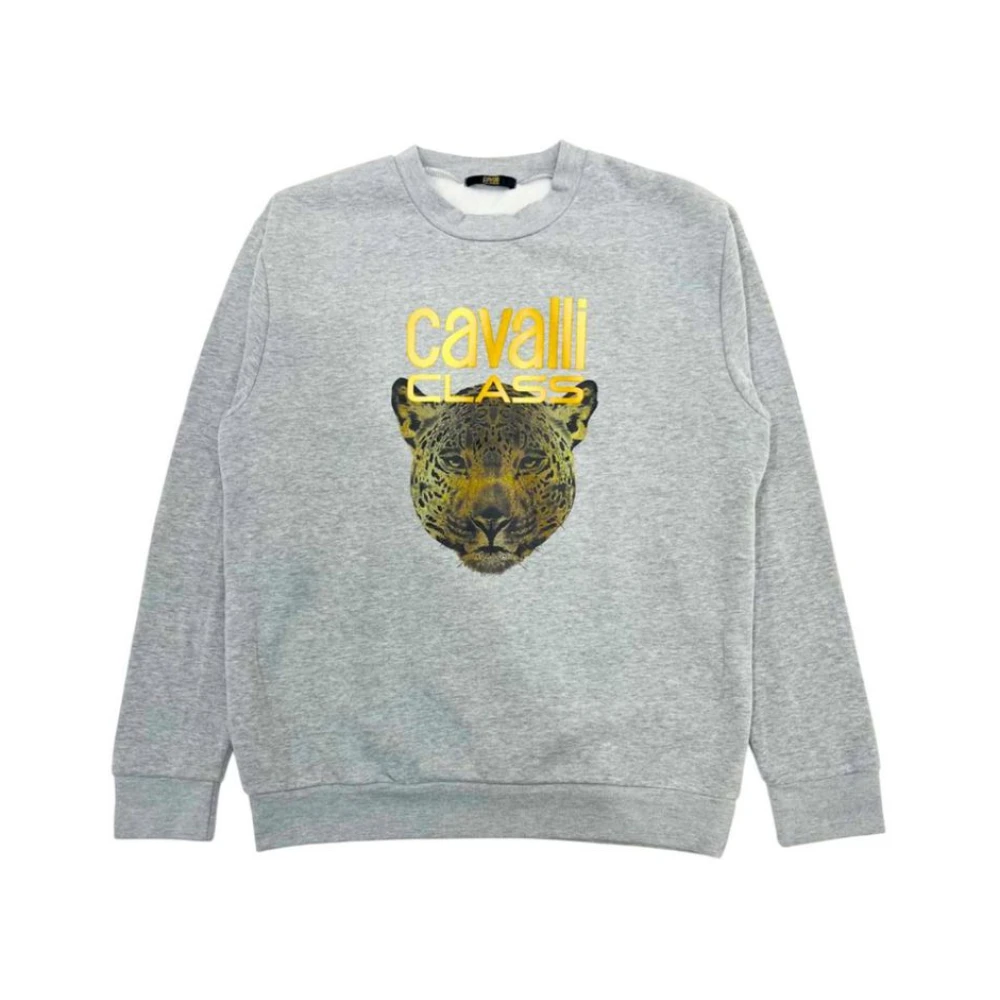 Cavalli Class Women's Gray Jumper Hoodie Large