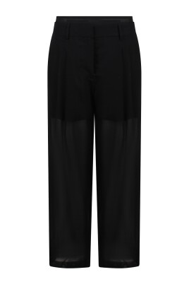 sheer-double-pleated-wide-leg-pants
