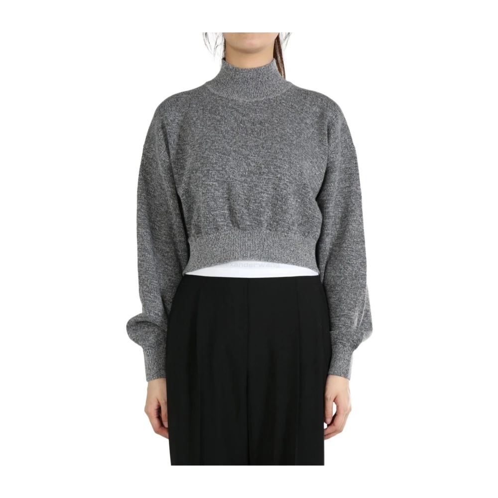 Alexander wang Grijze Turtle Neck Pullover Sweater Gray Dames