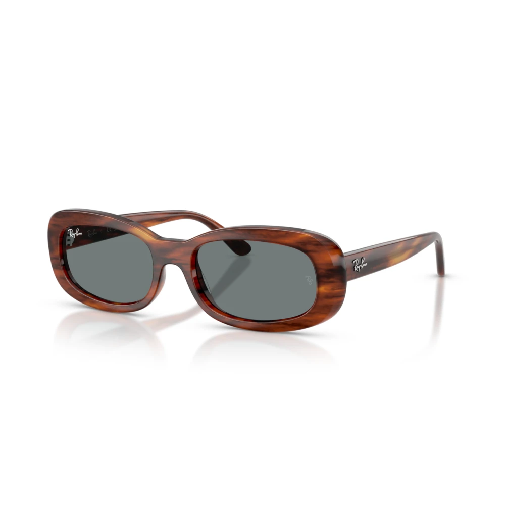 Ray-Ban Unisex Brun Rb2221 Oval Sunglasses