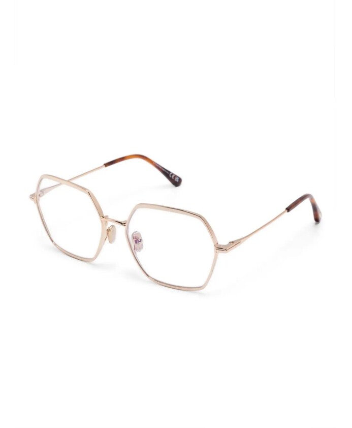ft6050b-028-optical-frame