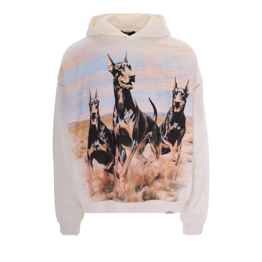 Represent Hoodies, Male, M, Hoodies Multicolor