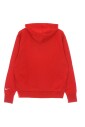 toronto-raptors-basketball-team-celebration-hoodie