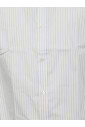 gestreepte-slim-fit-overhemden