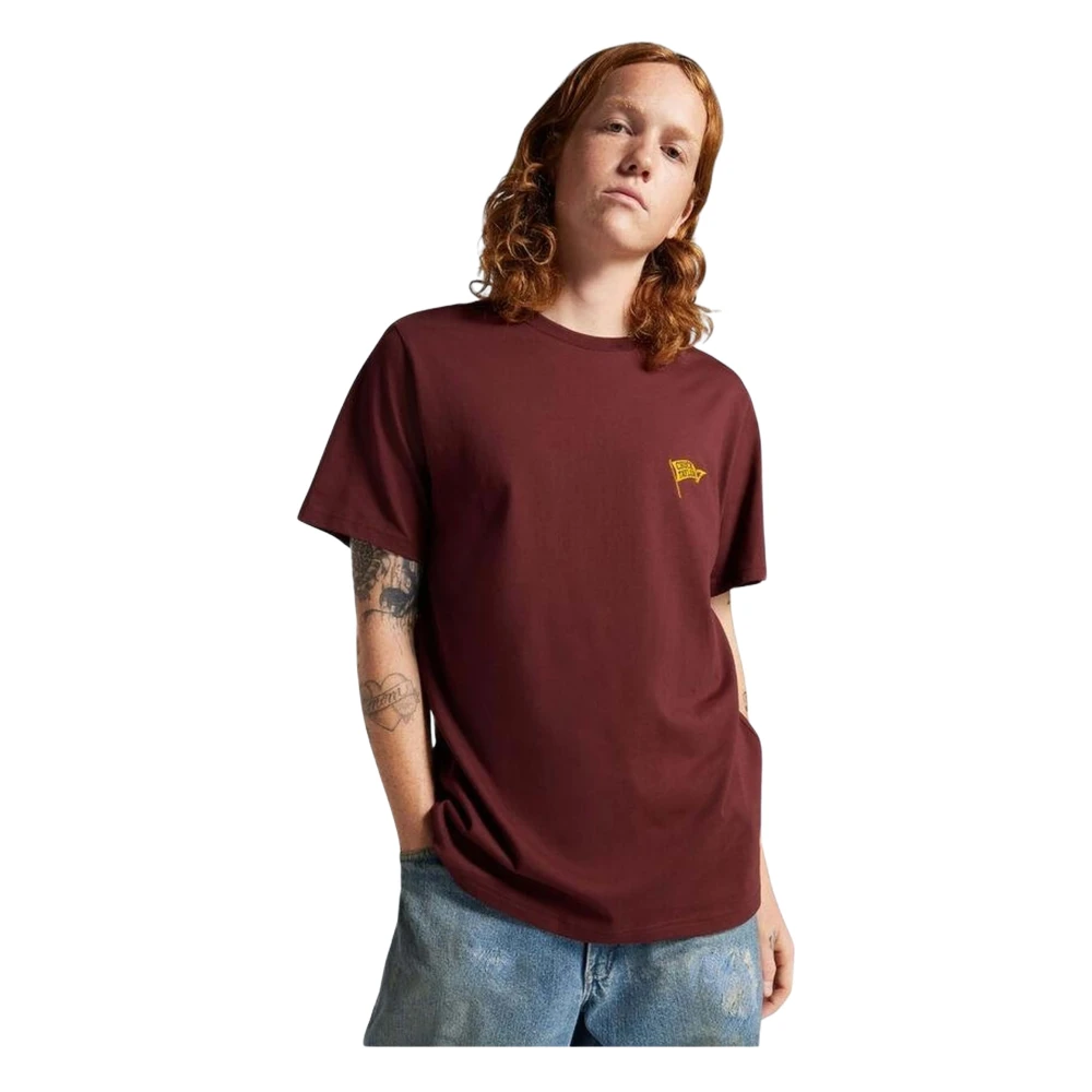 Converse Retro Chuck Flag TEE Longsleeve T-shirt Purple Heren