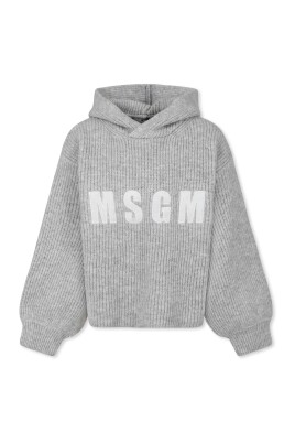 sweat-crop-a-capuche-gris