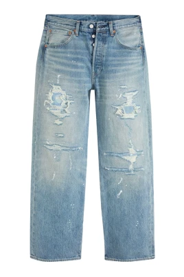501 Loose Larkspur Painter DX